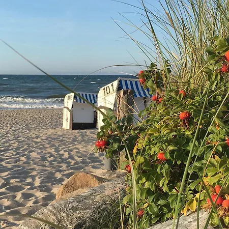 Loft - Mit Grossem Wintergarten, Nur 300m Vom Ostseestrand Διαμέρισμα Ostseebad Kühlungsborn